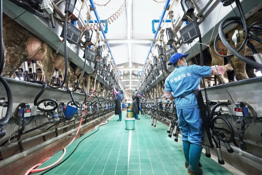 新乳业去年收入利润双增，，，，公司宣布“三年倍增”妄想！_海博论坛