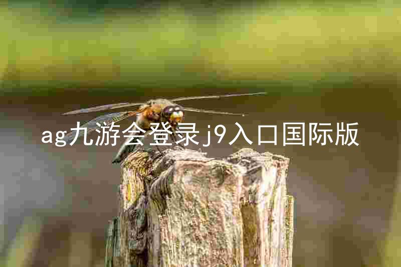 ag九游会登录j9入口国际版